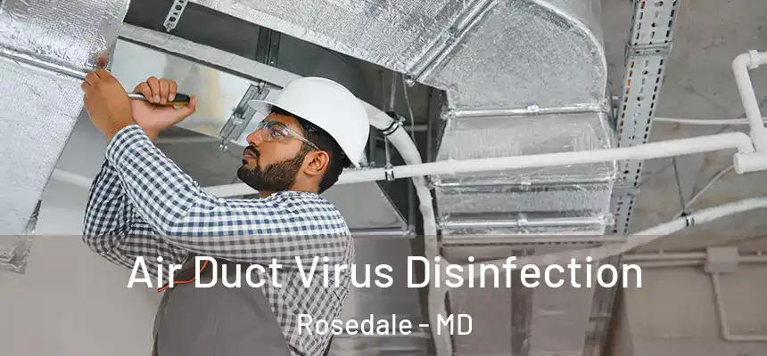  Air Duct Virus Disinfection Rosedale - MD