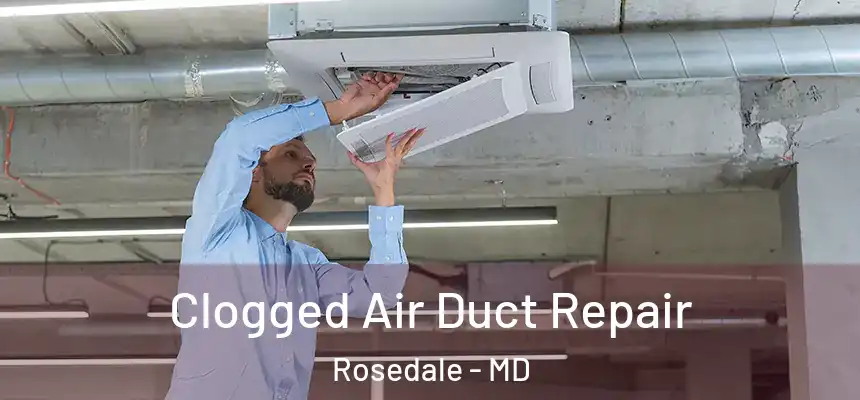  Clogged Air Duct Repair Rosedale - MD