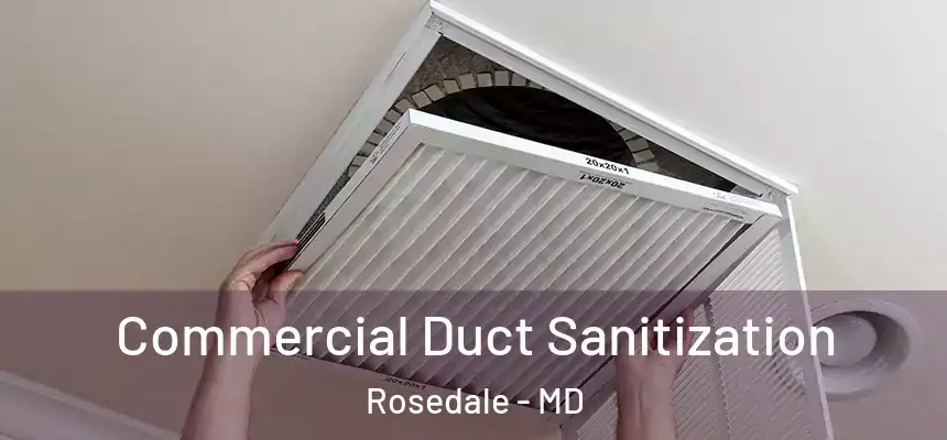  Commercial Duct Sanitization Rosedale - MD