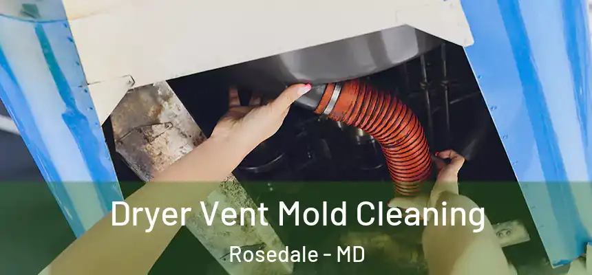  Dryer Vent Mold Cleaning Rosedale - MD