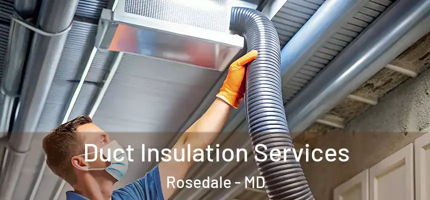  Duct Insulation Services Rosedale - MD