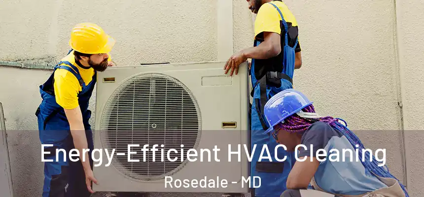  Energy-Efficient HVAC Cleaning Rosedale - MD