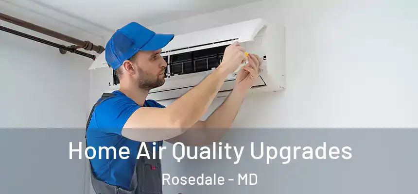 Home Air Quality Upgrades Rosedale - MD