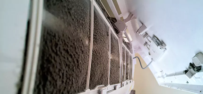 Preventive Air Duct Bacteria Removal in Rosedale