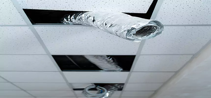 Affordable HVAC Sanitizing After Pest Removal in Rosedale