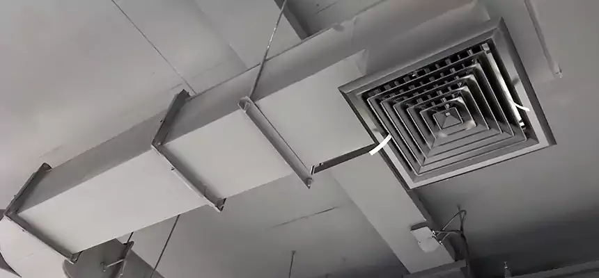 Restorative Allergy Relief Vent Cleaning – Coil, Blower & Housing Detail in Rosedale