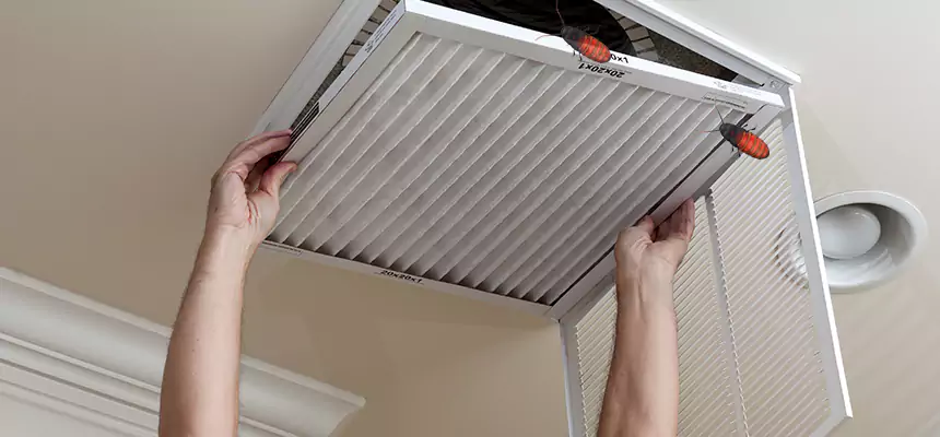 Our Insect Removal from Air Ducts Services in Rosedale, MD