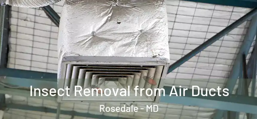  Insect Removal from Air Ducts Rosedale - MD