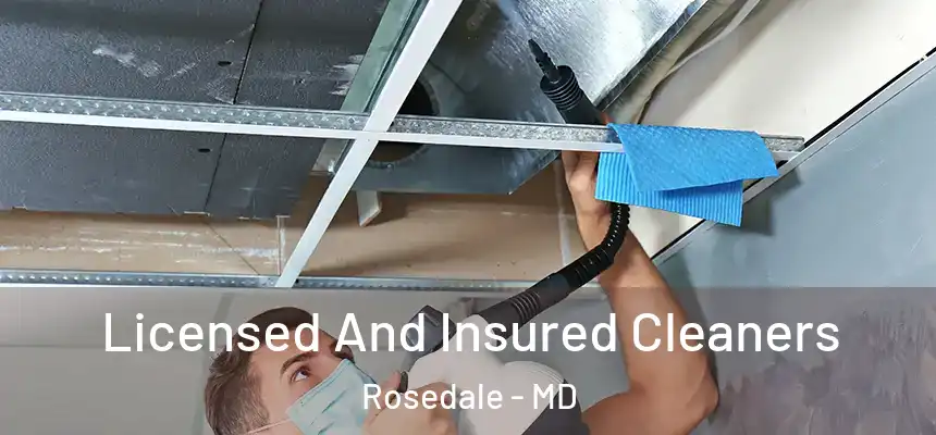 Licensed And Insured Cleaners Rosedale - MD