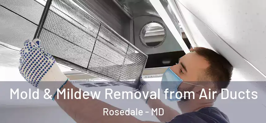  Mold & Mildew Removal from Air Ducts Rosedale - MD