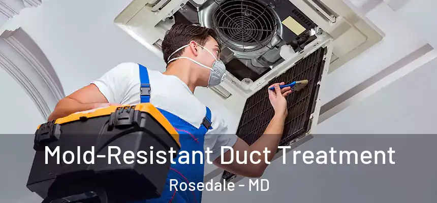  Mold-Resistant Duct Treatment Rosedale - MD