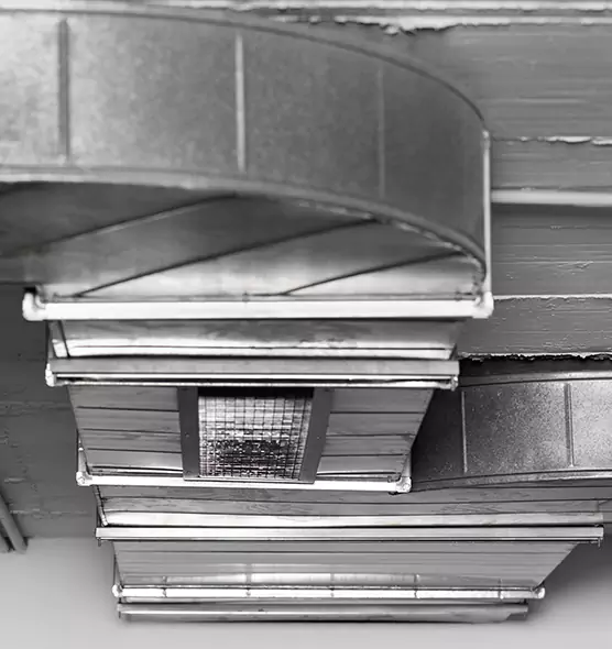 Professional Air Duct Pest Removal in Rosedale, MD