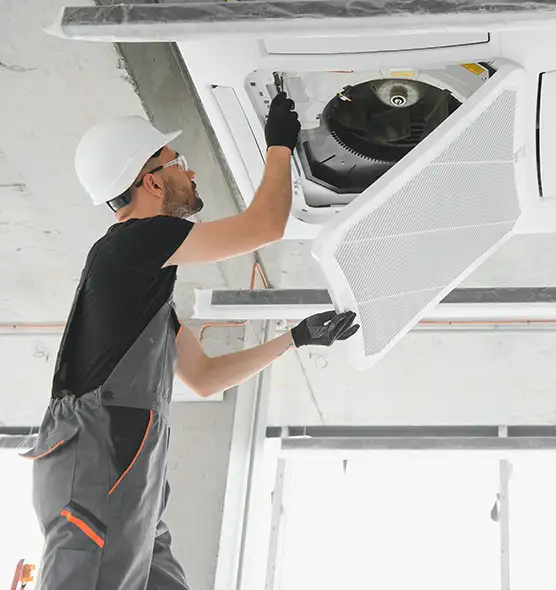 About Air Duct Rodent Removal in Rosedale, MD