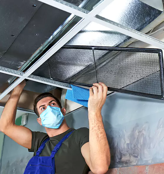 Professional Home Ventilation Cleaning in Rosedale, MD