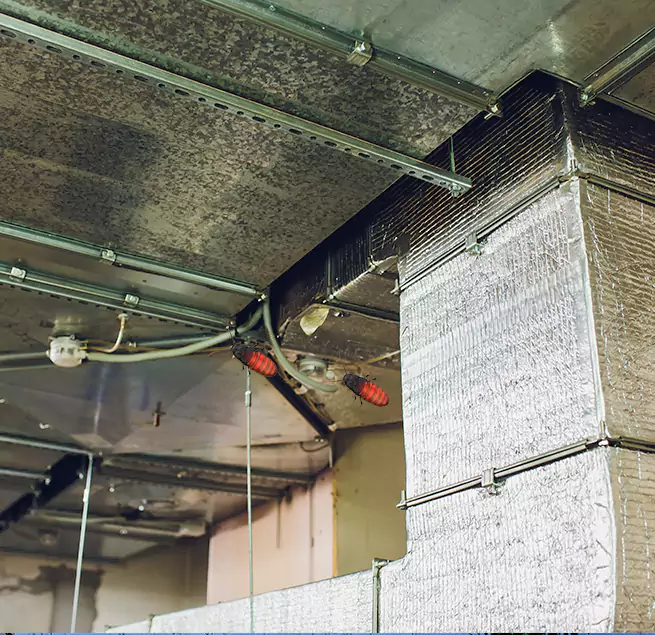 Why Homeowners & Businesses Trust Us in Rosedale, MD?